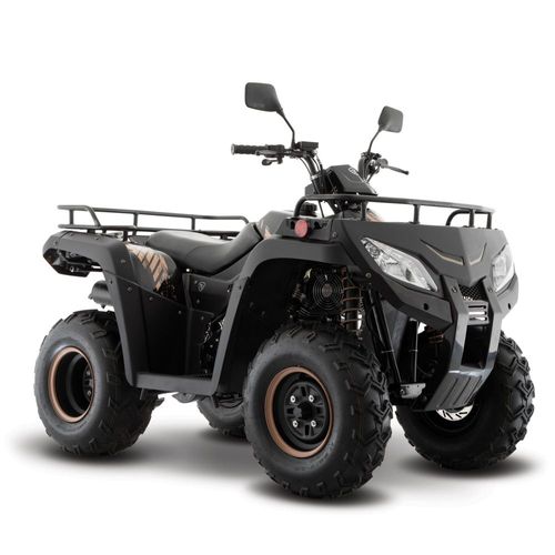 Cuatrimoto Italika ATV250 Negra